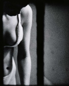 dirty windows photography, merry alpern