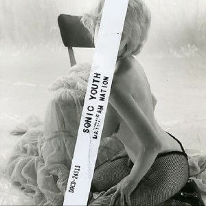richard prince work, sticker shock