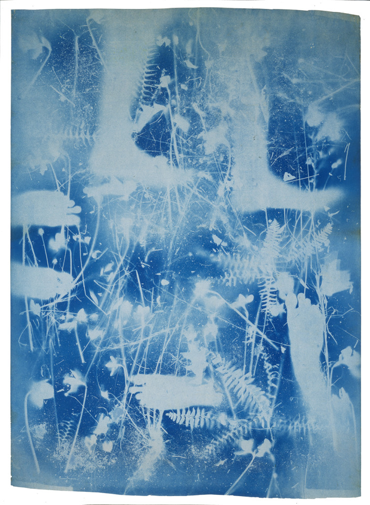 Untitled, feet and foliage, by Susan Weil and Robert Rauschenberg, abstract painting