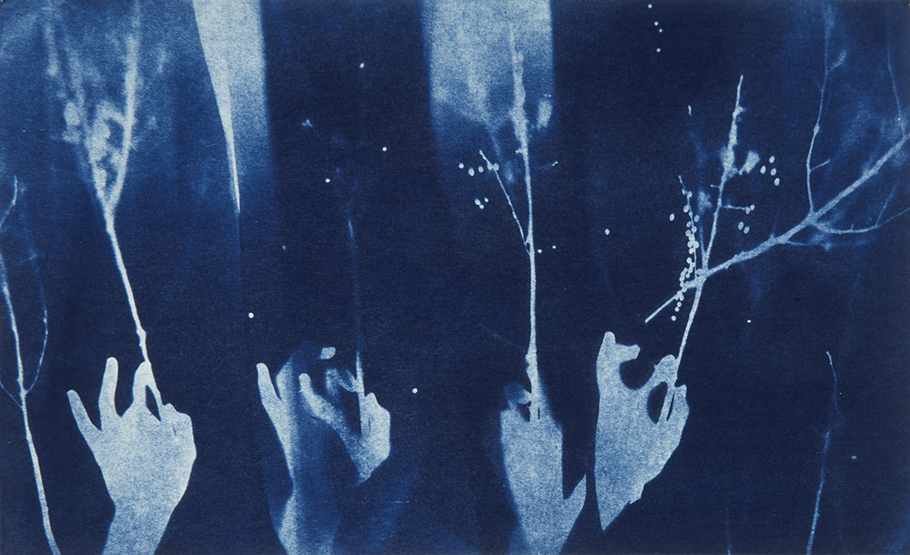 Light Borne in Darkness, by Susan Weil and Robert Rauschenberg, abstract painting