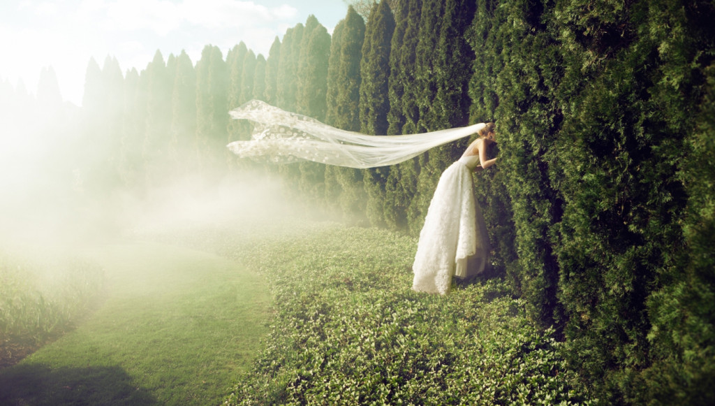 cade martin photography, model in wedding dress looking through green hedges