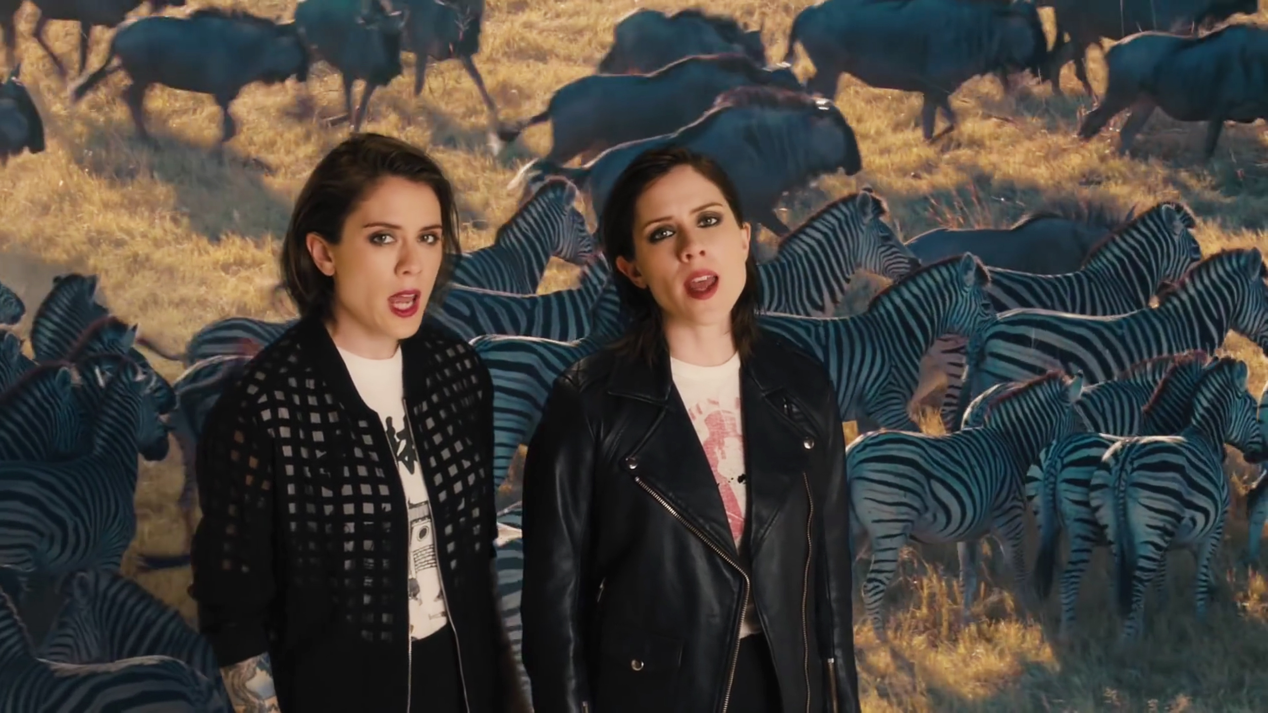 tegan and sara singing in front of zebras