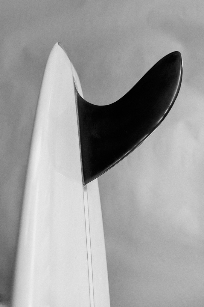 MOLLUSK_SURF_042wadler_portfolio013