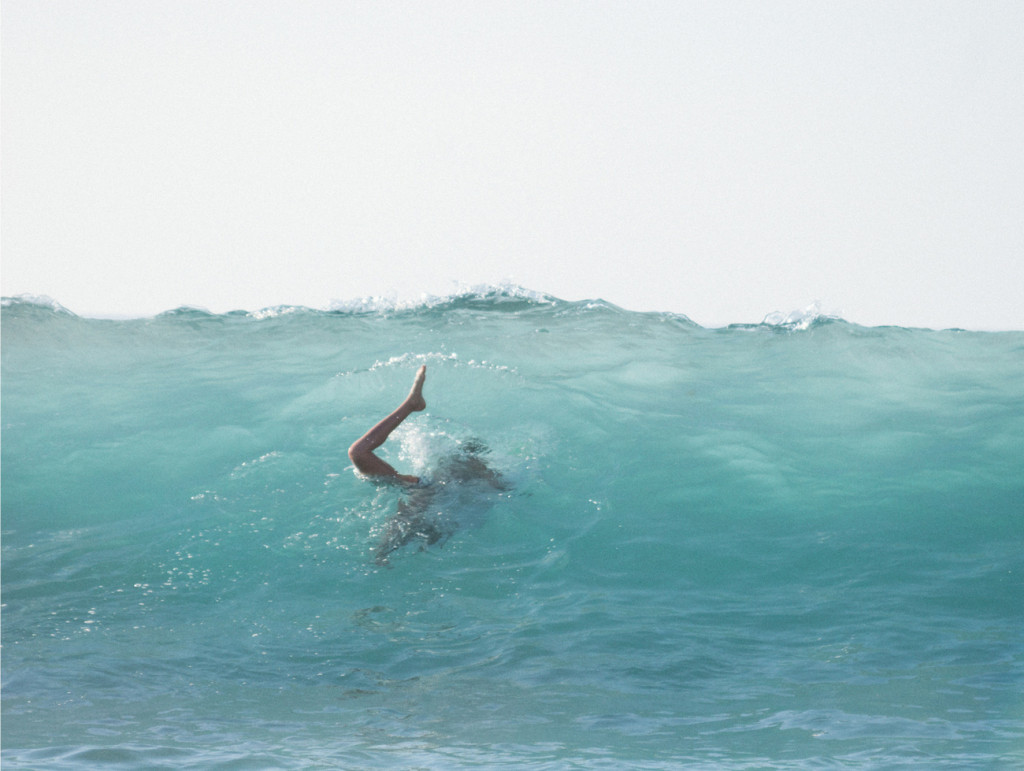 MOLLUSK_SURF__MG_1162