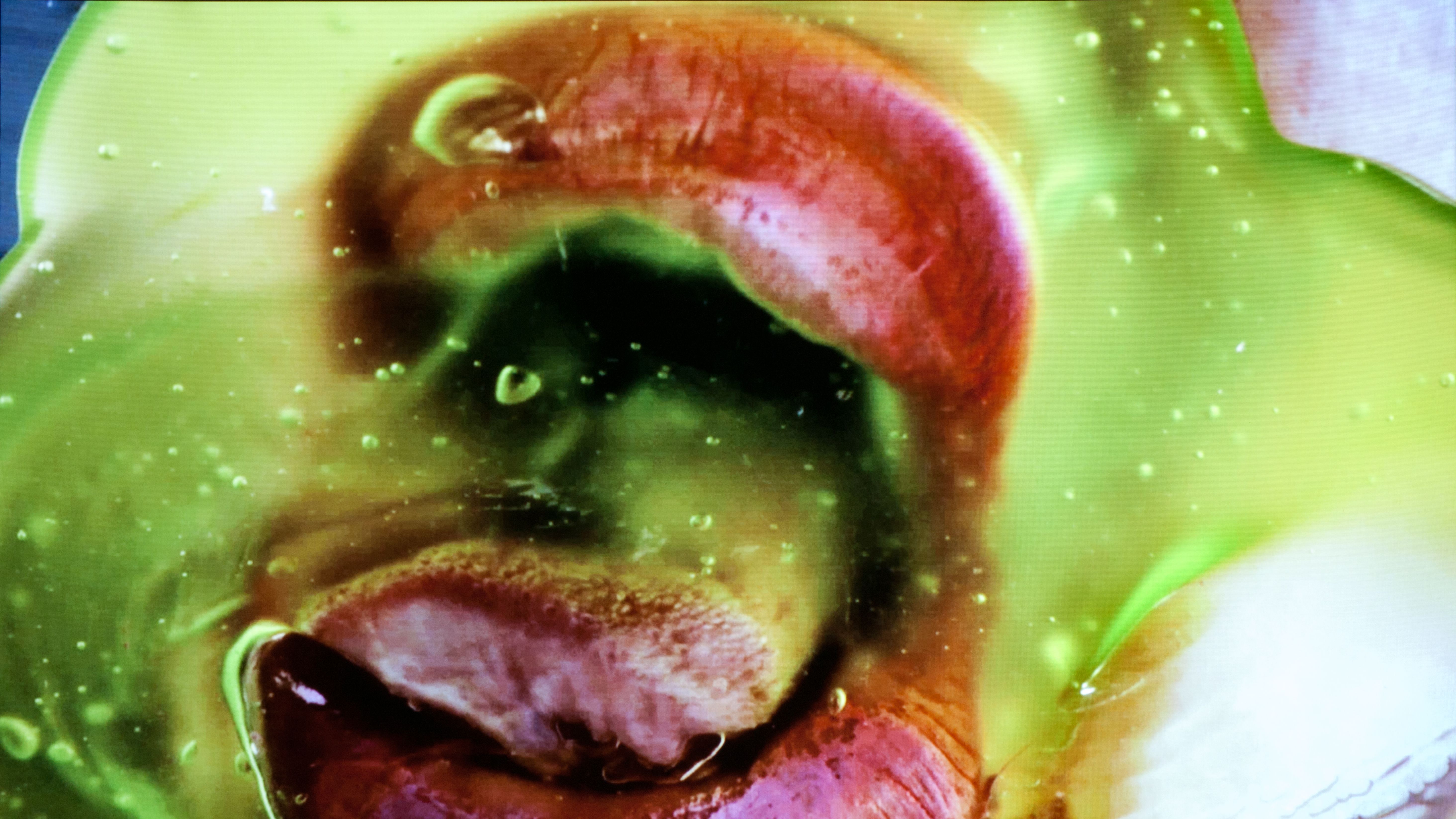 Still from Green Pink Caviar (2009), by Marilyn Minter. HD digital video, 7 minutes, 45 seconds. Courtesy of the artist, Salon 94, New York, and Regen Projects, Los Angeles.