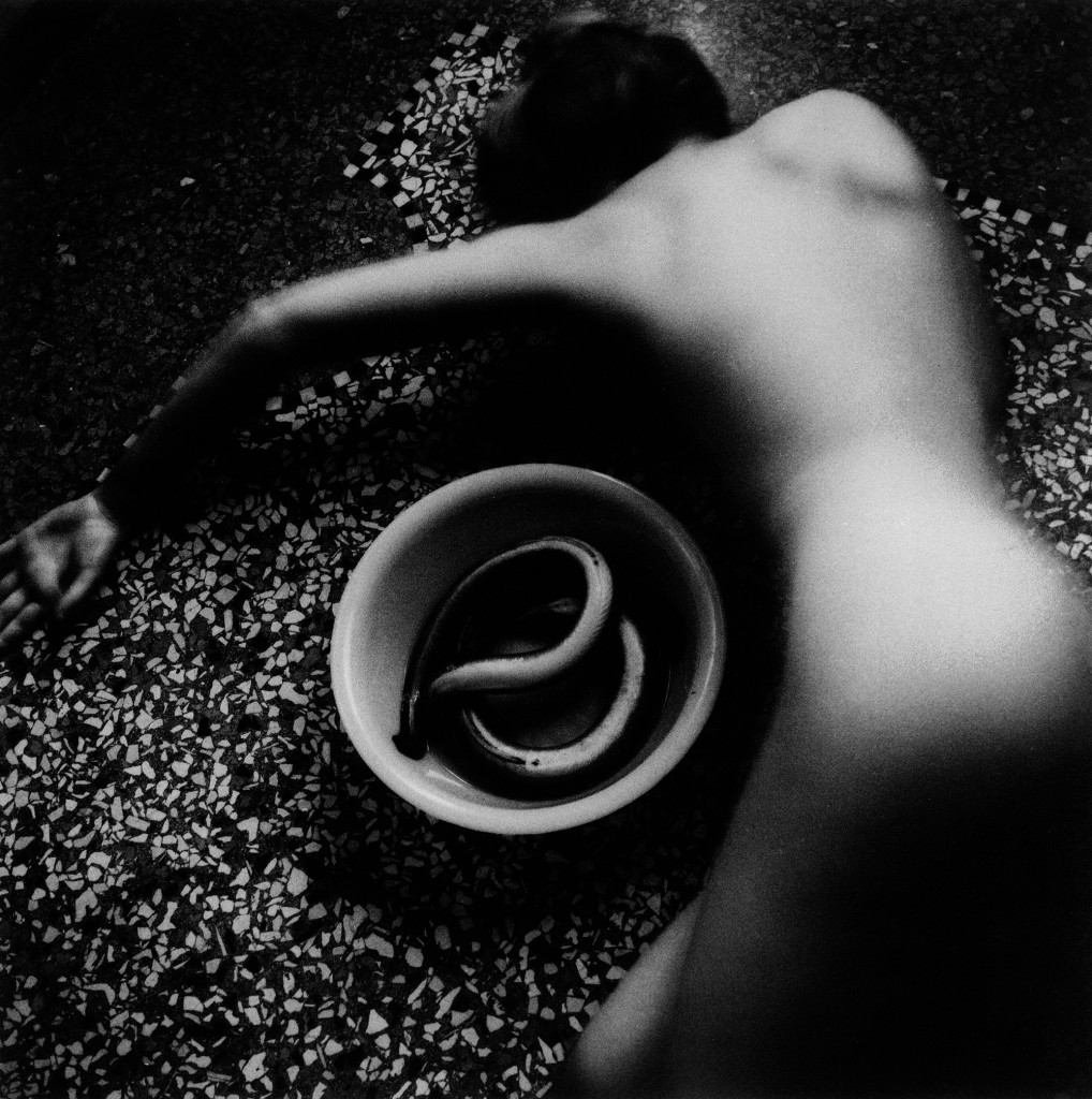 Eel series, Rome, Italy, (May 1977 – August 1978) / Francesca Woodman © Courtesy George and Betty Woodman
