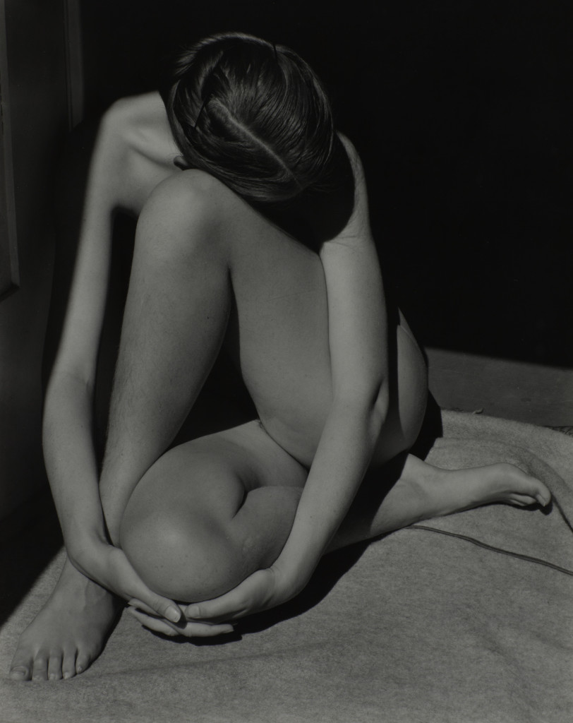 Nude by Edward Weston (1936). Photograph, gelatin silver print on paper. 241 x 191 mm. © 1981 Center for Creative Photography, Arizona Board of Regents. 