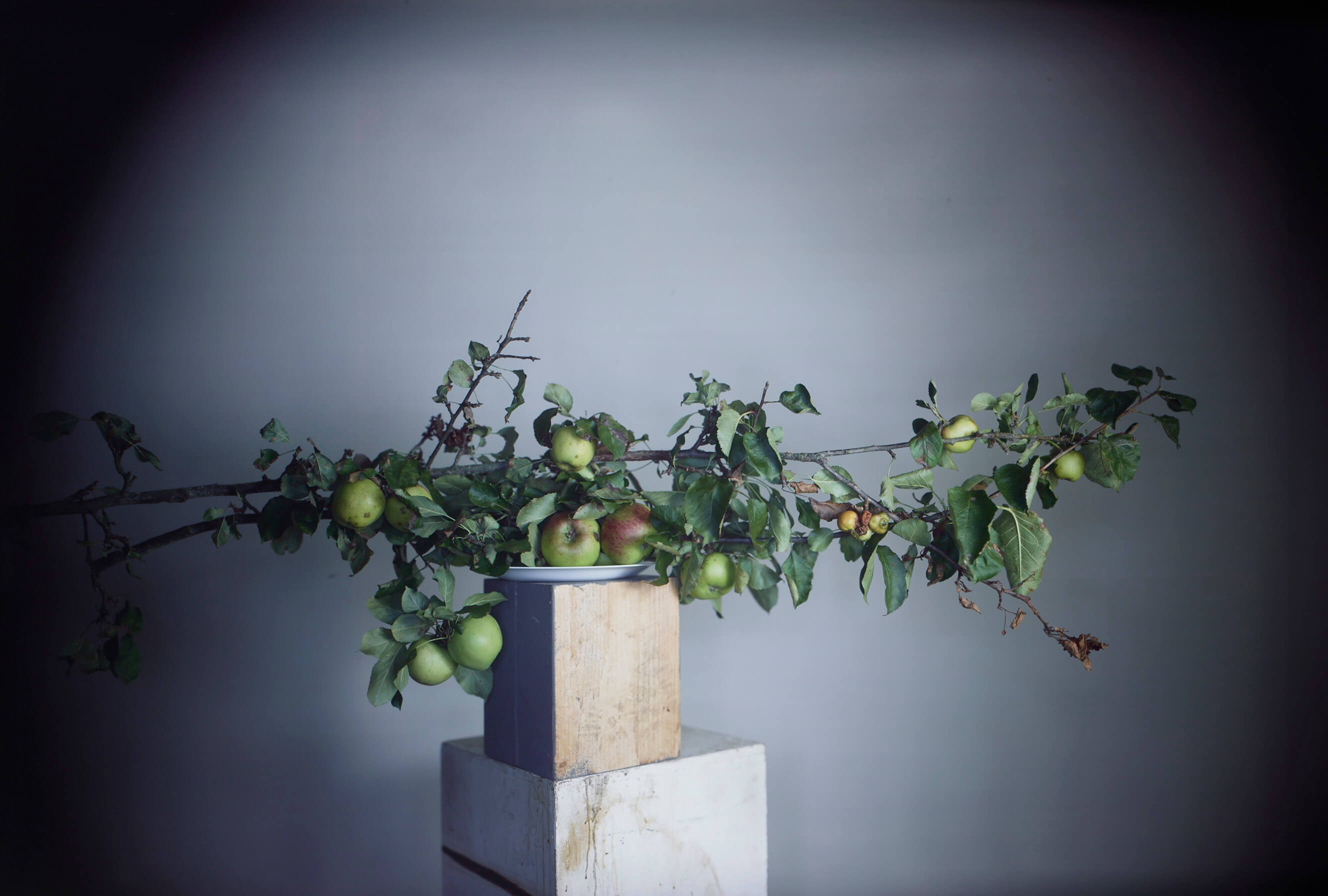 It’s About Time (2016) © Richard Learoyd, courtesy Fraenkel Gallery, San Francisco.