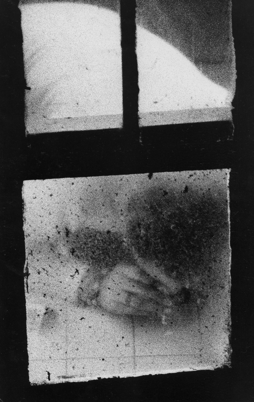 Dirty Windows (1994) by Merry Alpern.