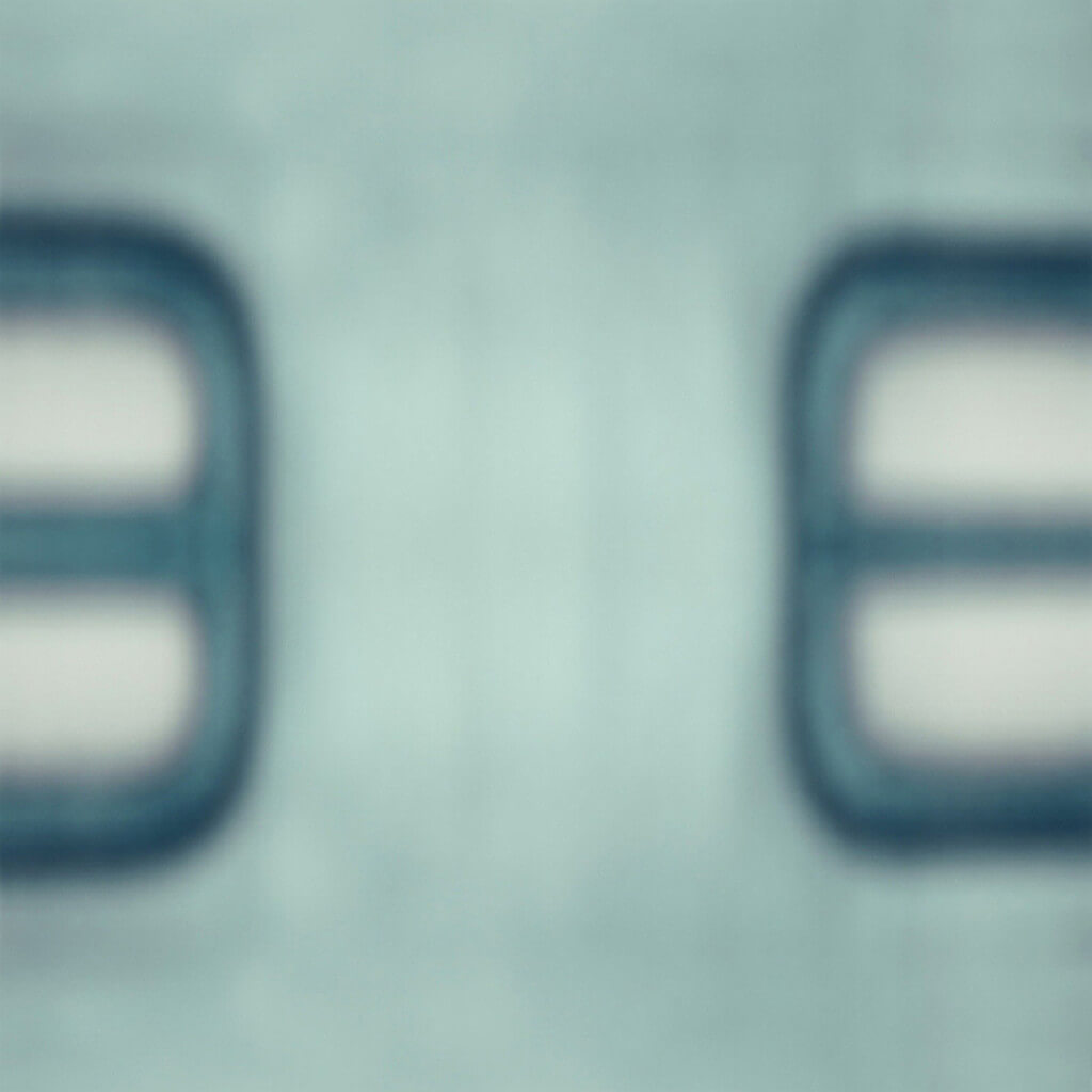 Janusian No 3, (2009). Pigment print.
