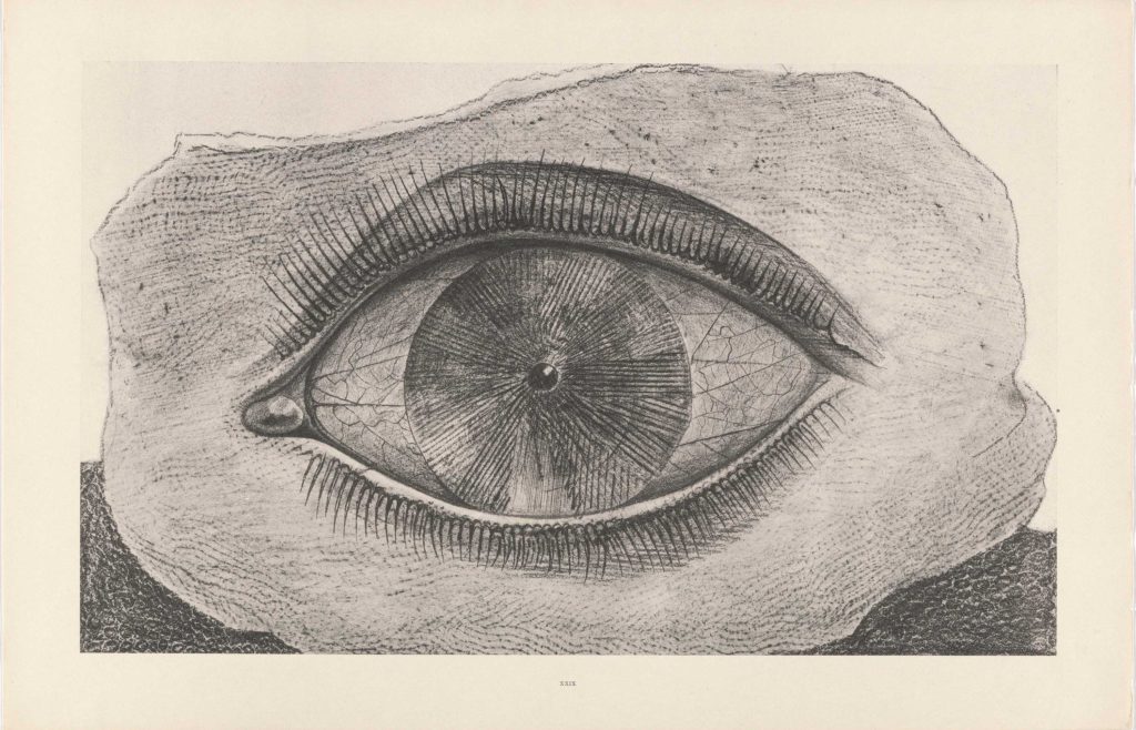 Max Ernst Dada drawing of eye MOMA