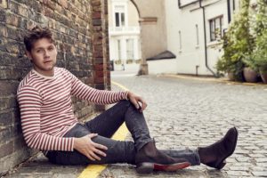 Niall Horan Model
