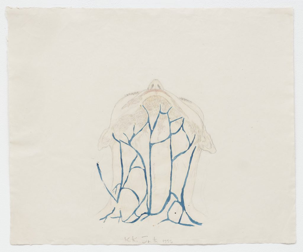 Drawing by Kiki Smith