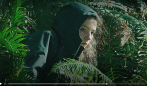 leave no trace