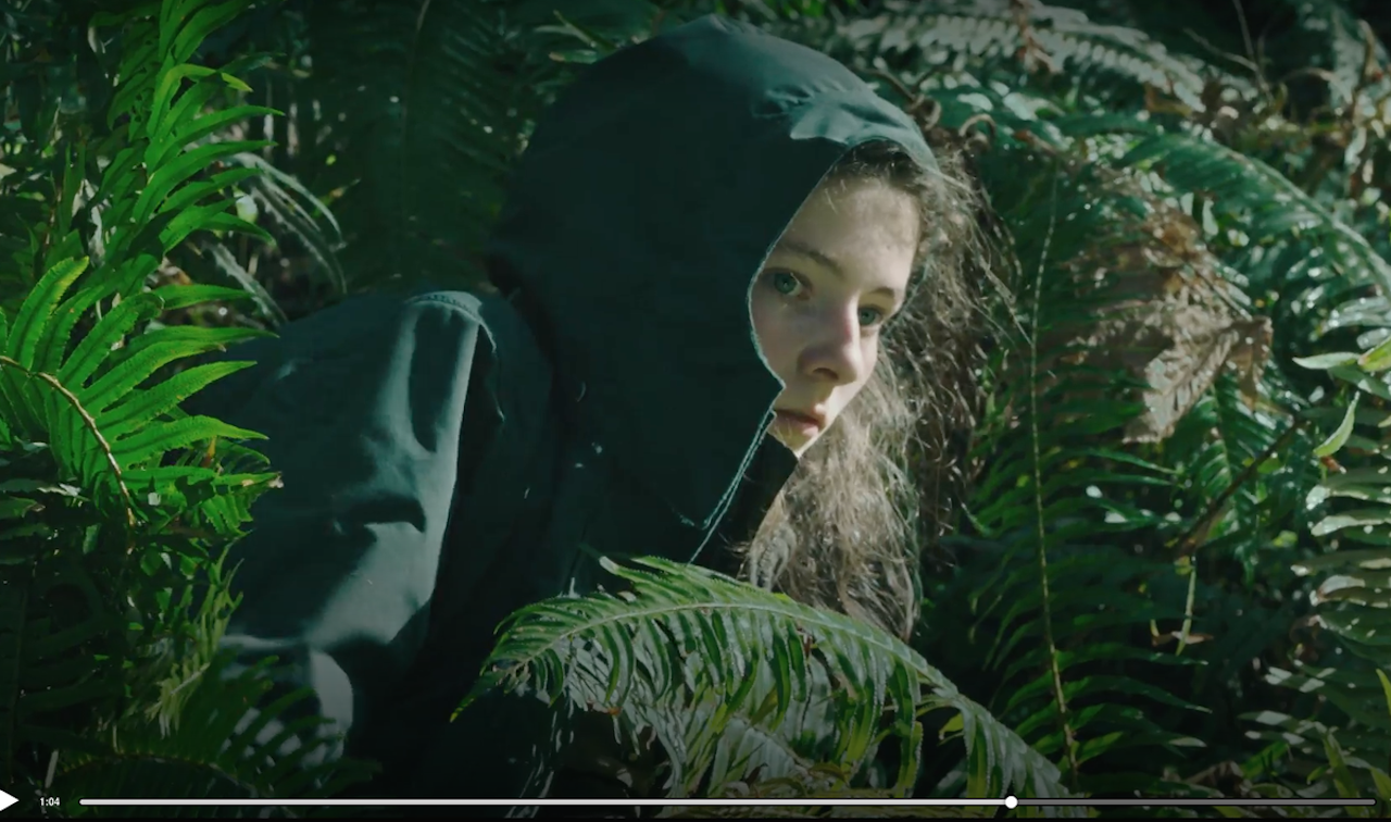 leave no trace