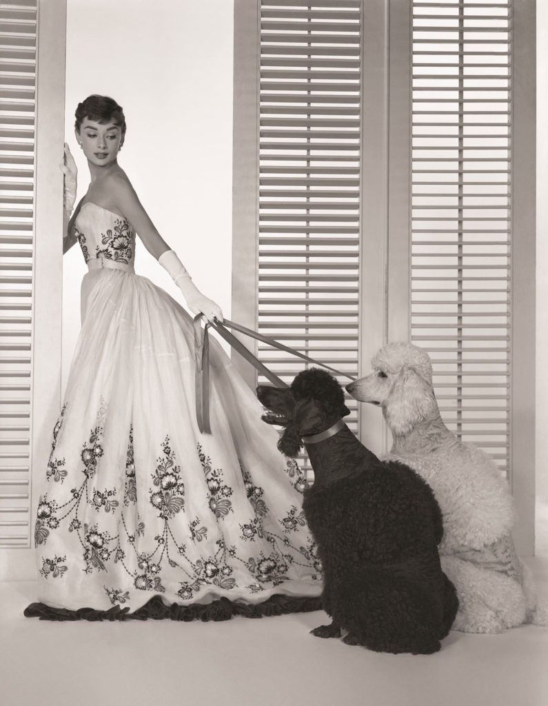 audrey-hepburn with poodles