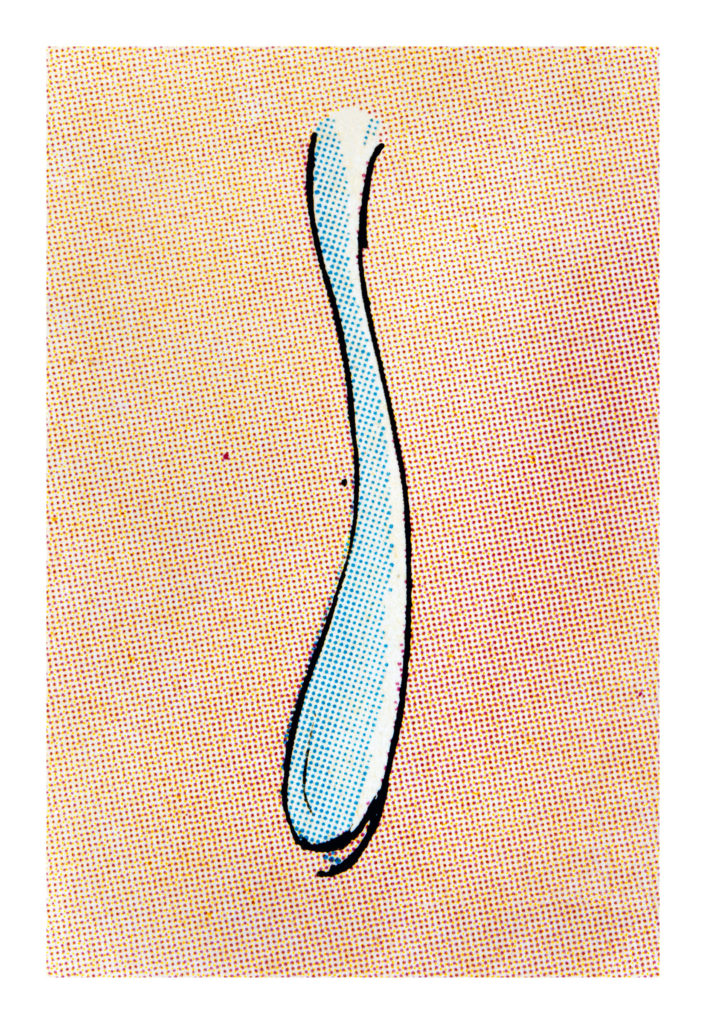 Print by Anne Collier