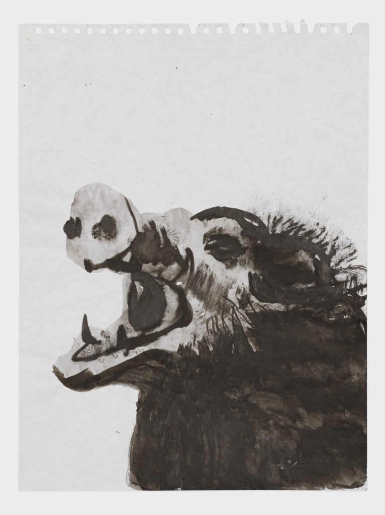 Drawing by Marlene Dumas
