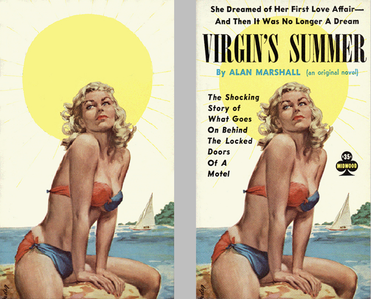 Virgin's Summer book cover by Paul Rader