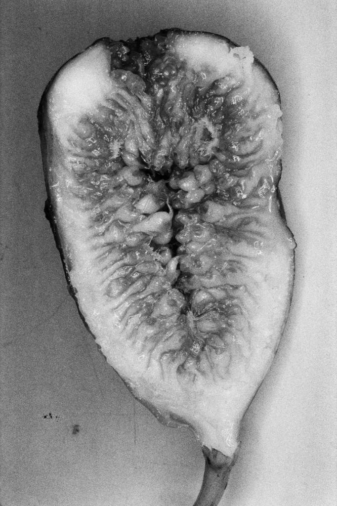 Nobuyoshi Araki at the Museum of Sex