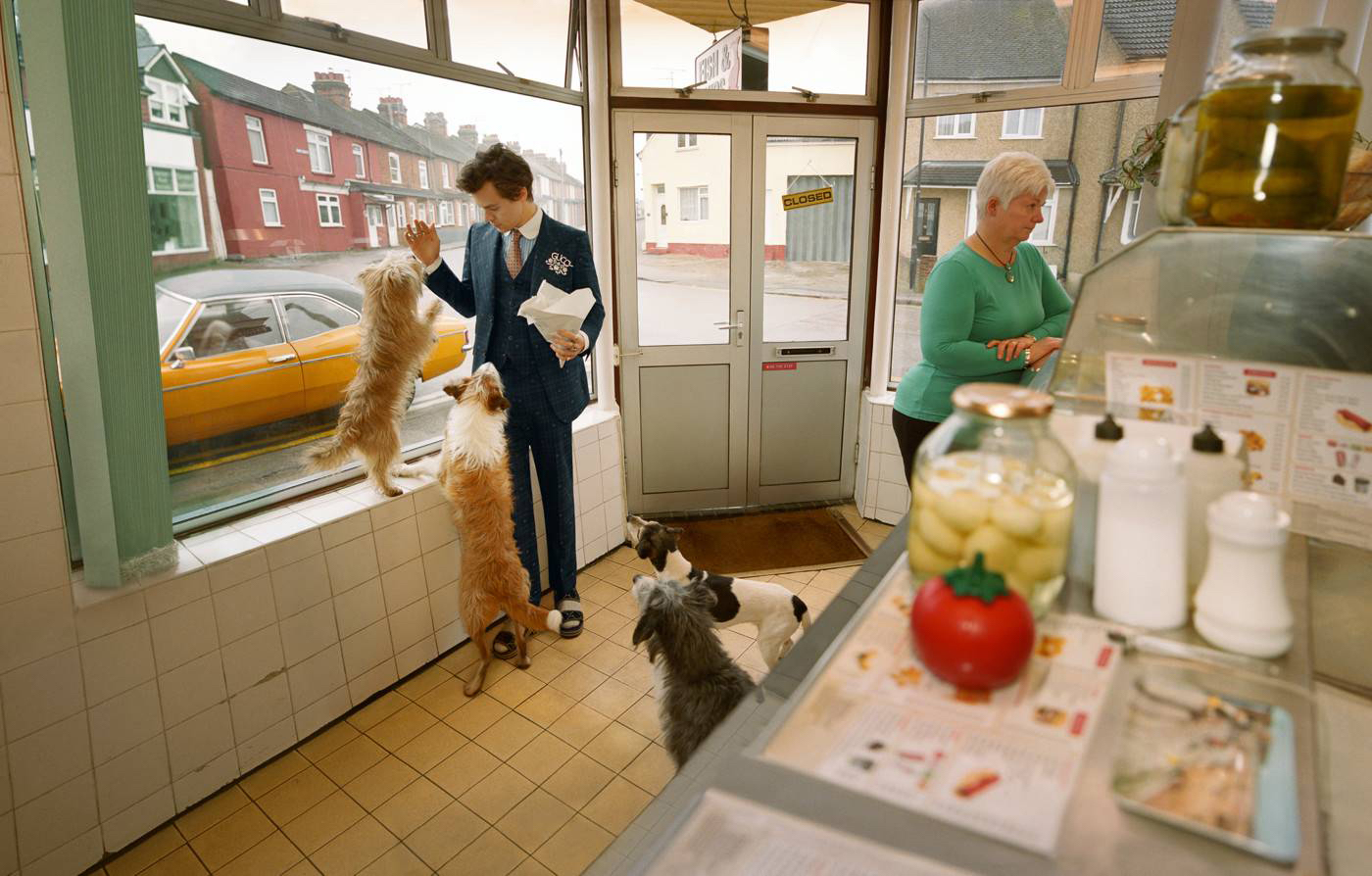 harry styles gucci in deli with dogs