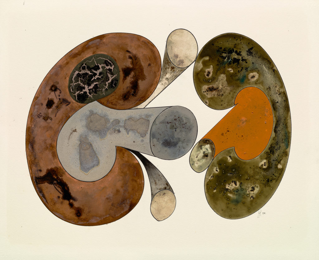 Aging Mushrooms by Irving Penn