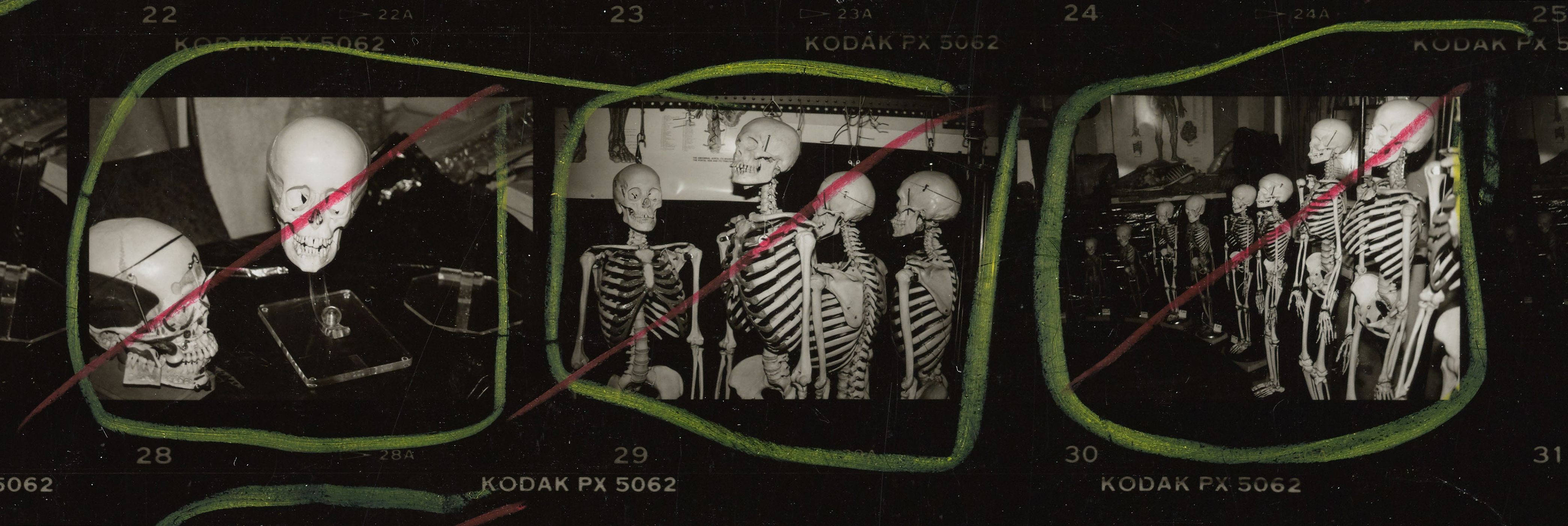 Andy Warhol contact sheet with skulls and skeletons