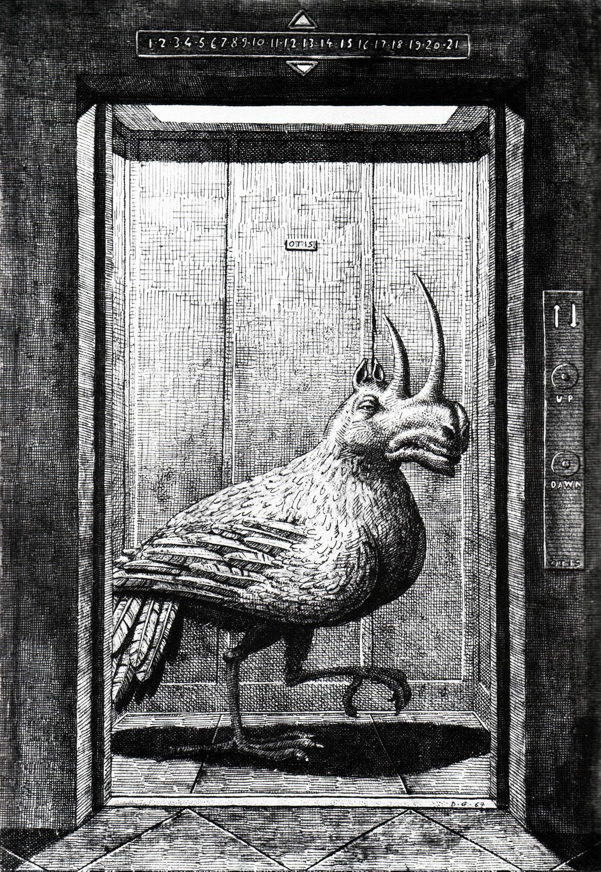 edward gorey drawing bird animal in elevator