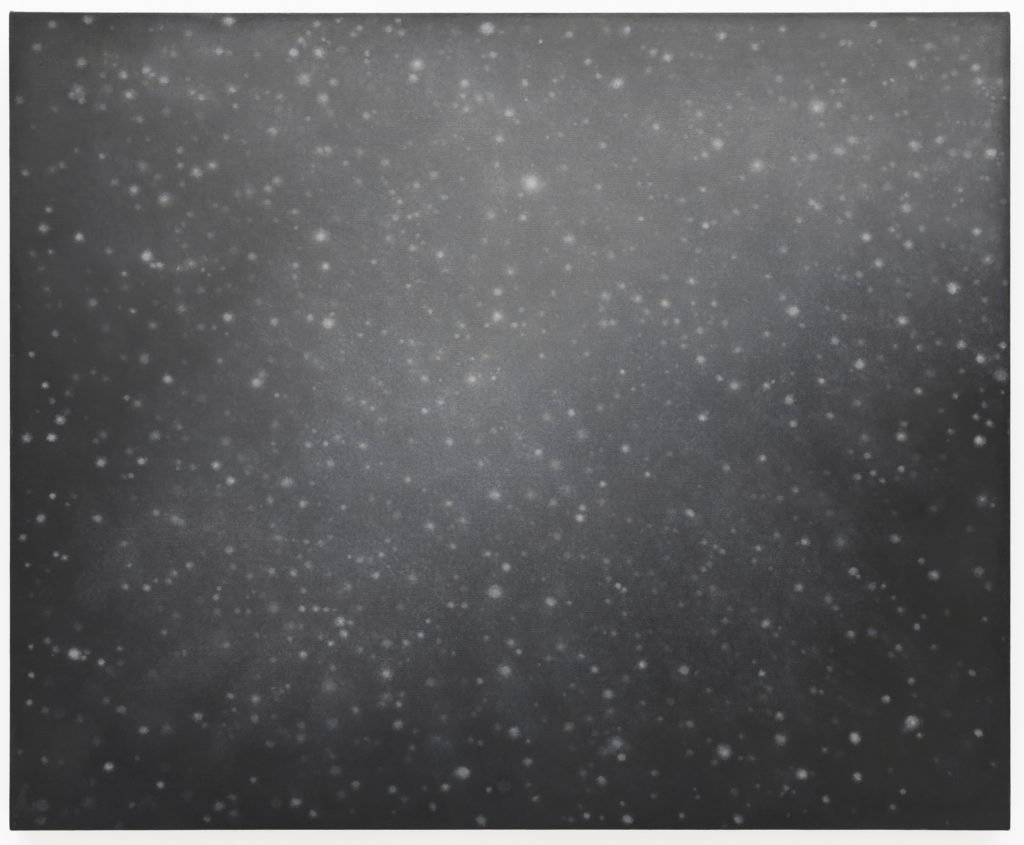 Painting by Vija Celmins