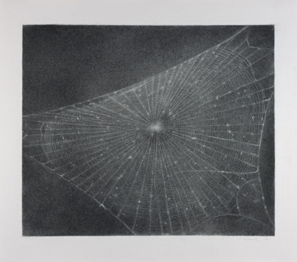 Drawing by Vija Celmins