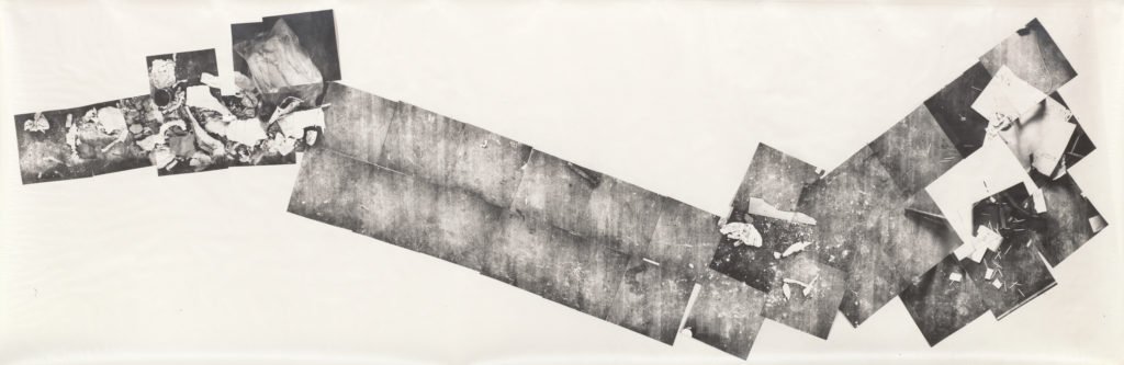 Print by Bruce Nauman