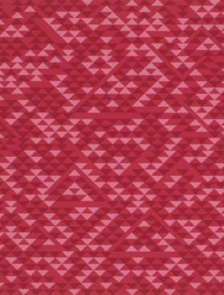 Detail of print by Anni Albers