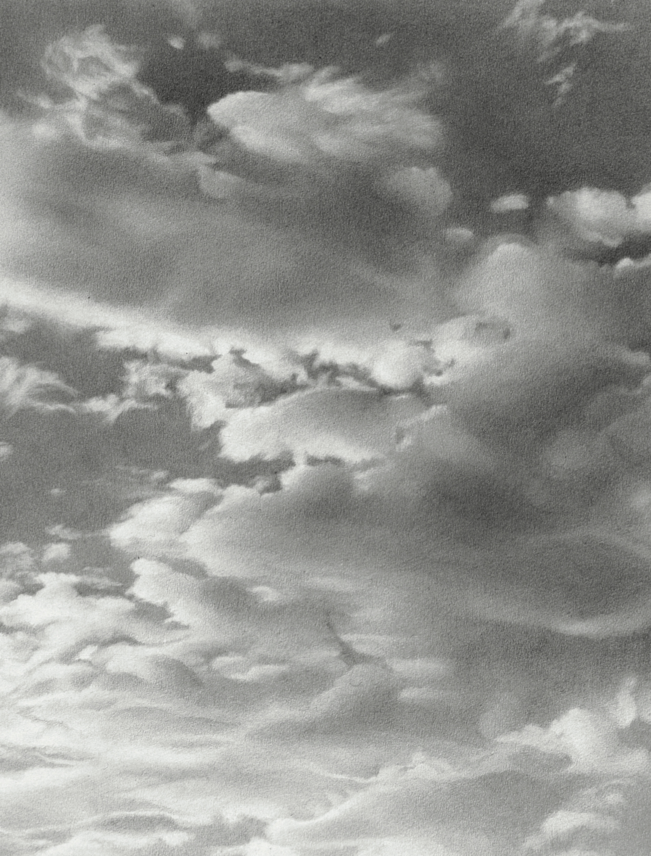 Detail of drawing by Vija Celmins