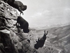 art-David-Wojnaowicz