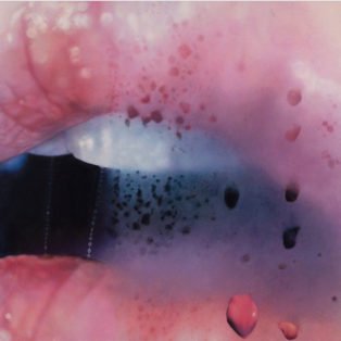 art Marilyn Minter