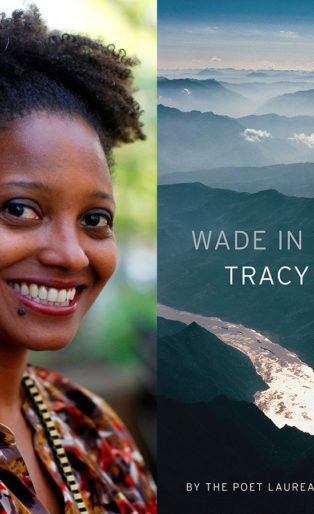 tracy k smith wade in the water