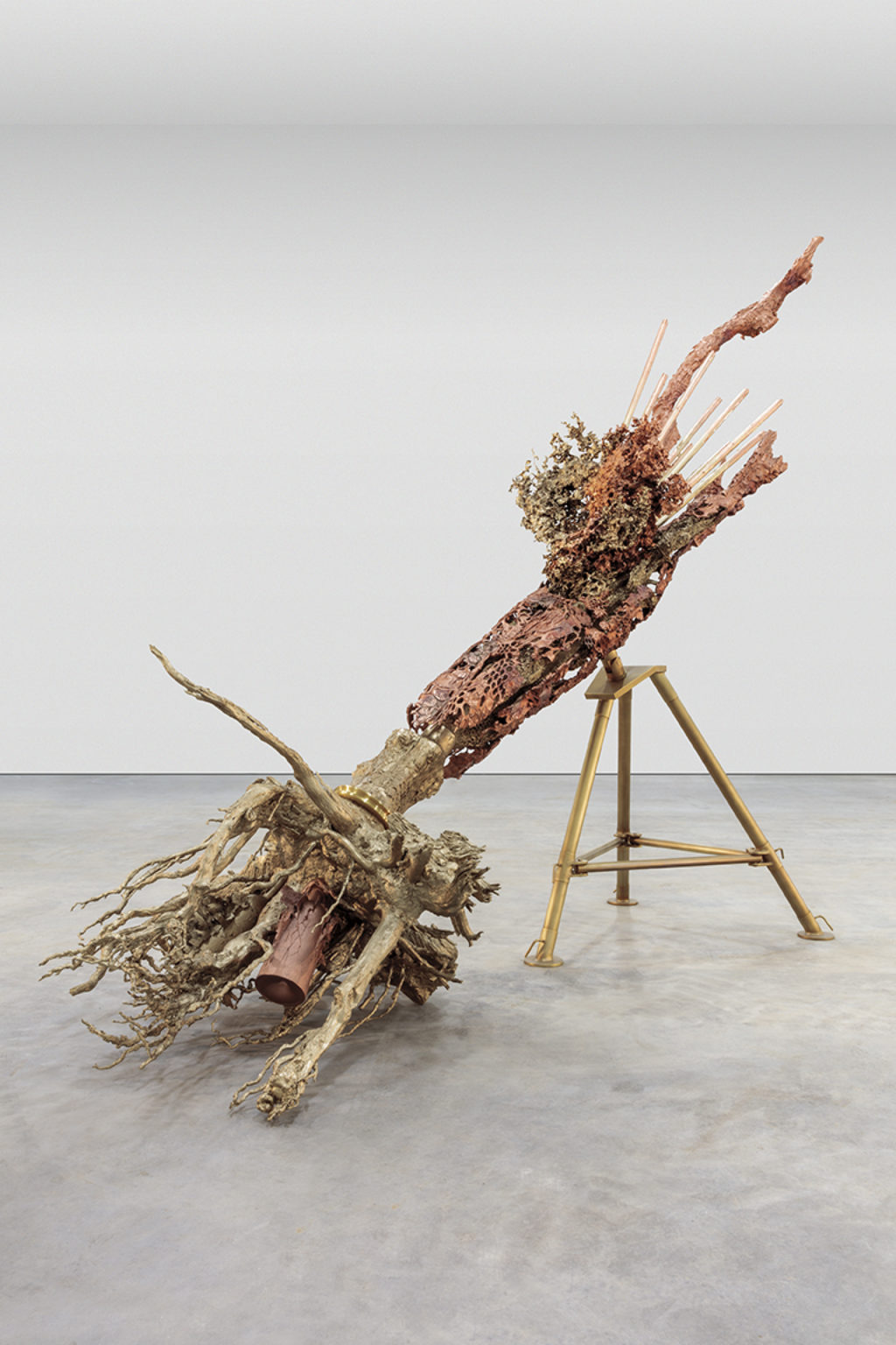 Sculpture by Matthew Barney