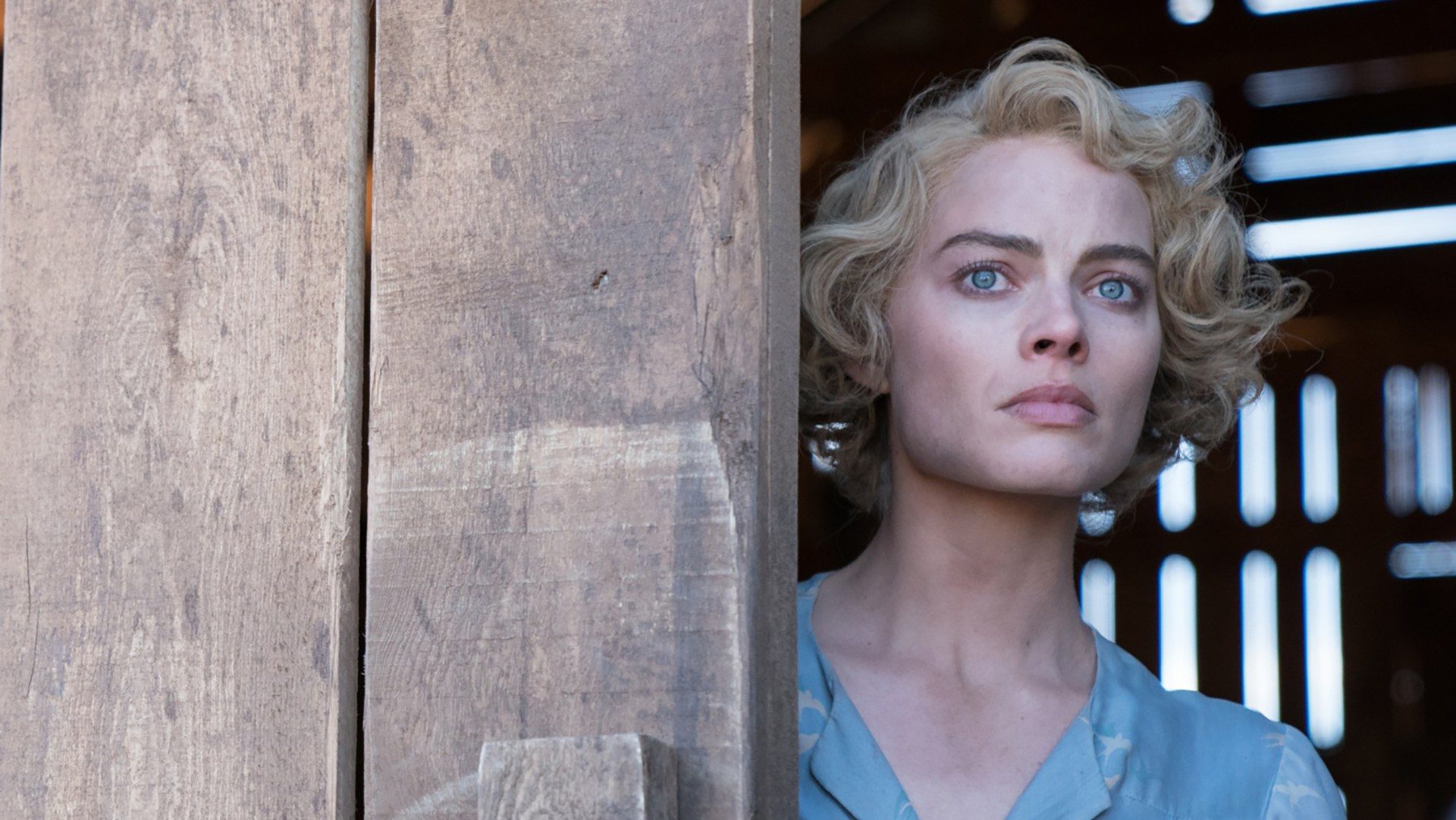margot robbie dreamland