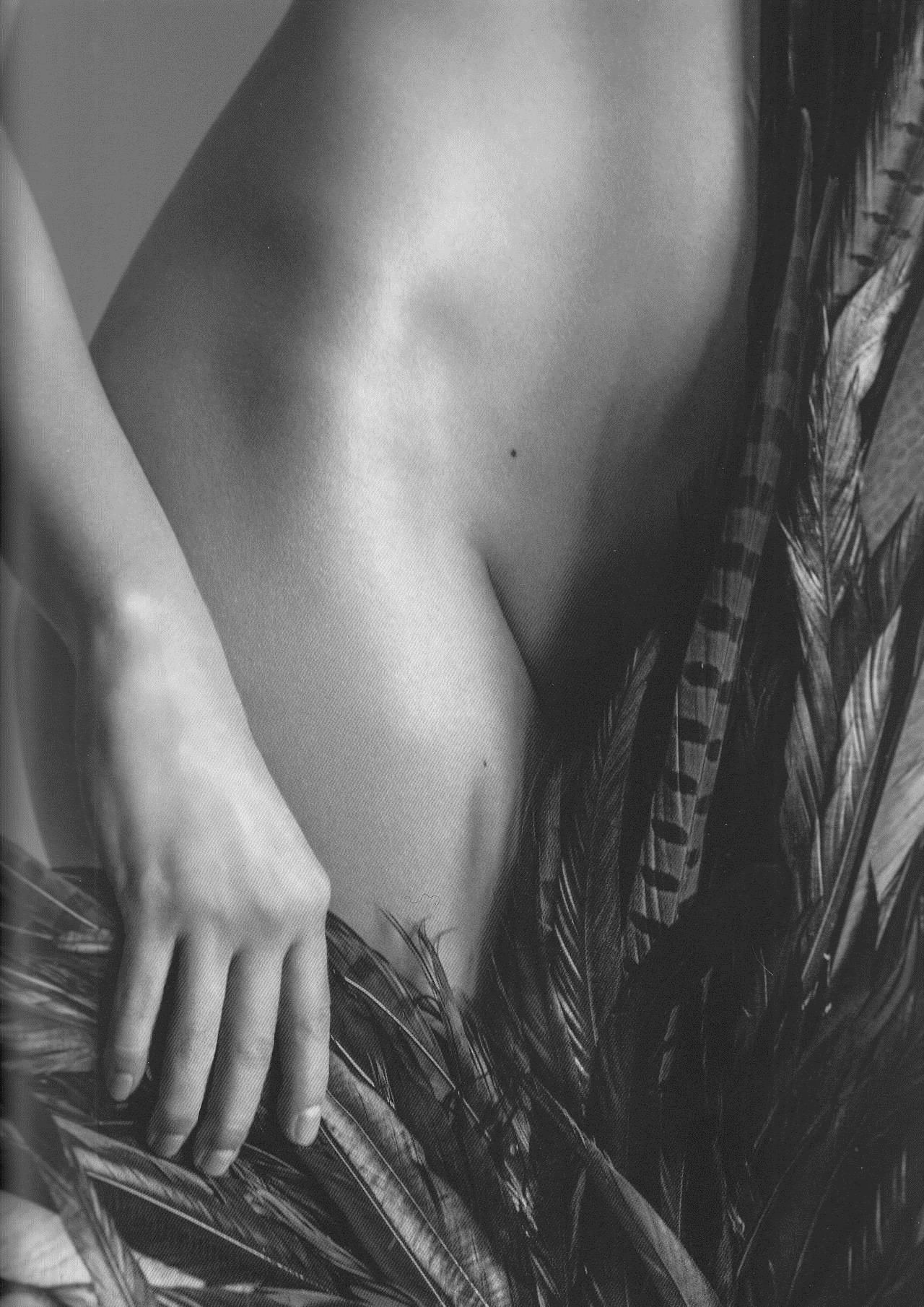 marloes horst nude, covered in feathers