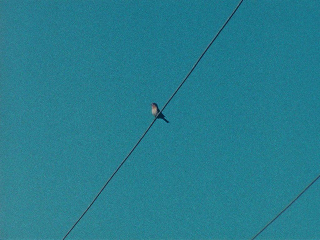 Video still by Tacita Dean