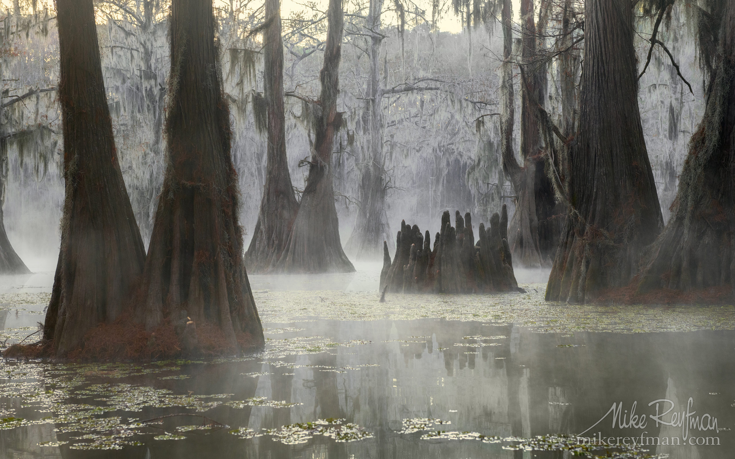 bayou