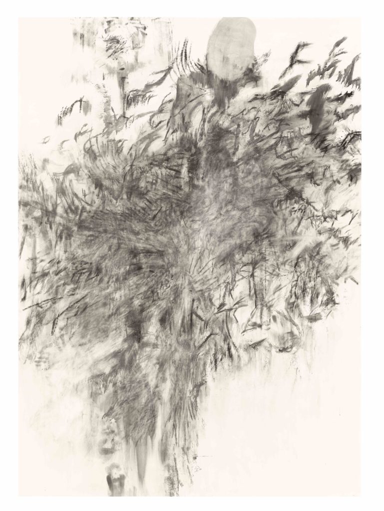 Julie Mehretu