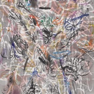 Julie Mehretu