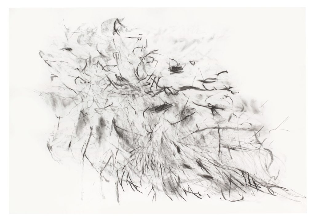 Julie Mehretu