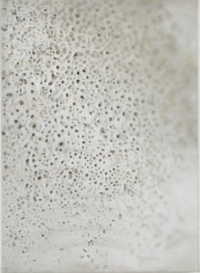 Shell by Vija Celmins