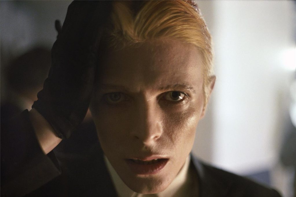 The Man Who Fell To Earth