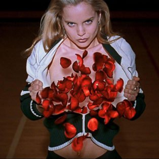 american beauty
