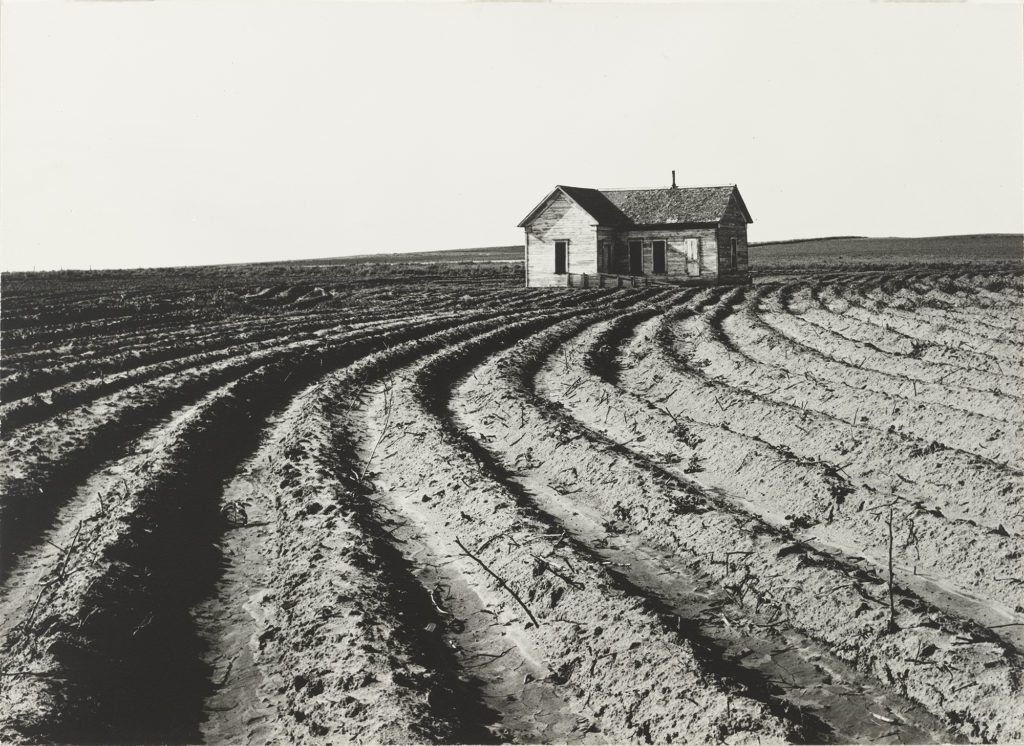 Tractored Out, Childress County, Texas. 1938. Dorothea Lange, courtesy The Museum of Modern Art