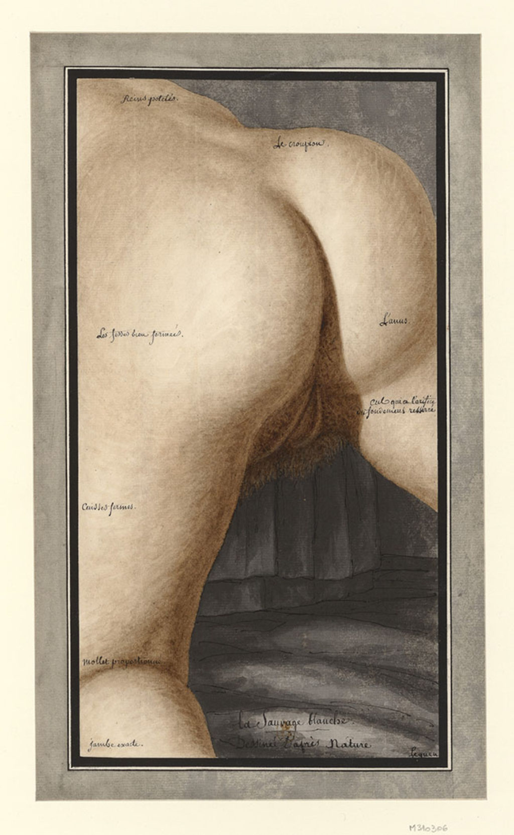Lequeu, La sauvage blanche