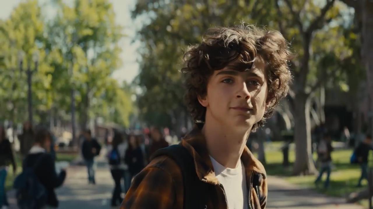 Timothée Chalamet in Beautiful Boy